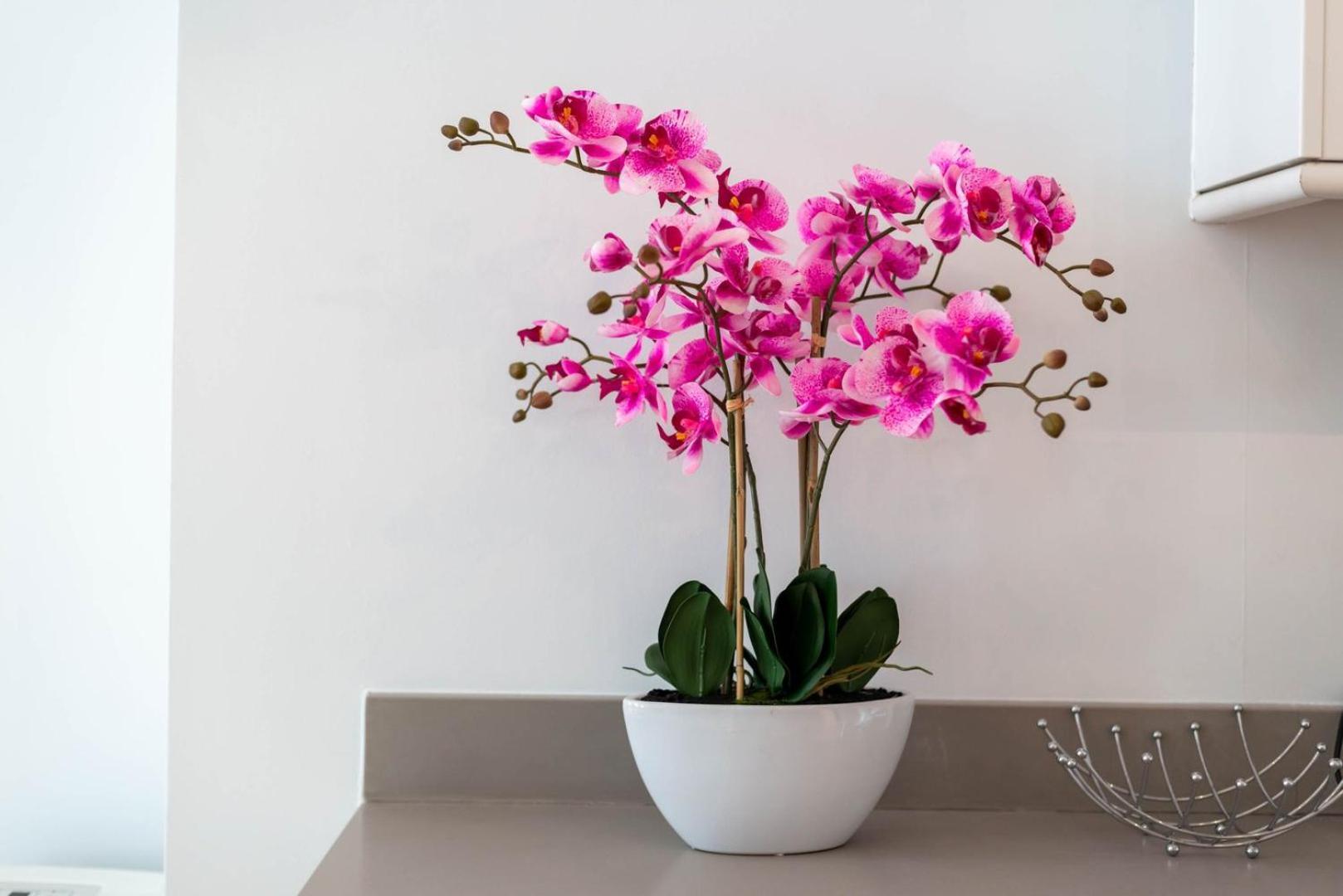 Apartament Guestready - Stunning Covent Garden 2Br Duplex Londyn Zewnętrze zdjęcie